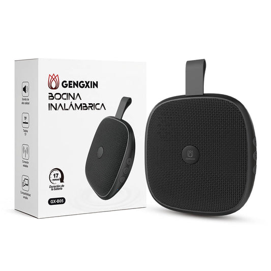 GENGXIN® Loa GX-B05